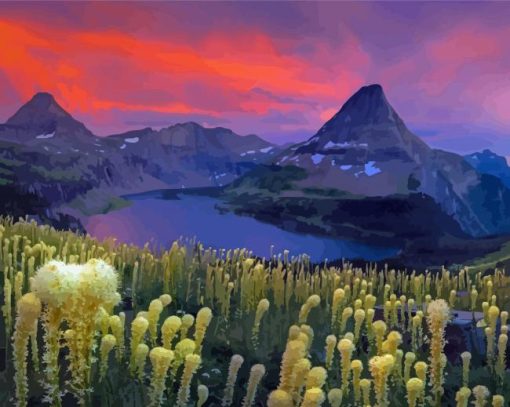 Glacier National Park Beargrass Plants Paint By Numbers