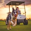 Golf Dog Running Paint By Numbers