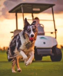 Golf Dog Running Paint By Numbers