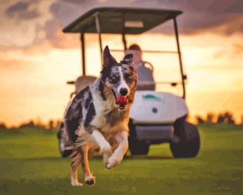 Golf Dog Running Paint By Numbers