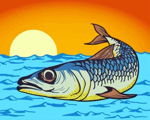 Illustration Sardine Fish Paint By Numbers