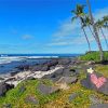 Kailua Kona Beach Rocks Paint By Numbers