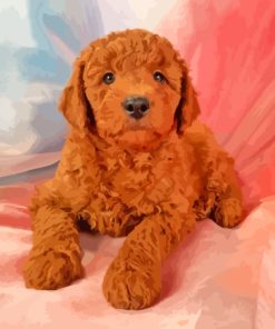 Mini Red Golden Doodle Paint By Numbers