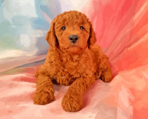 Mini Red Golden Doodle Paint By Numbers