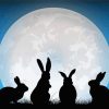 Moon Hares Silhouette Paint By Numbers