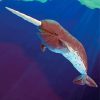 Narwhal Underwater Animal Paint By Numbers