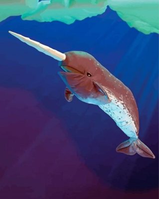 Narwhal Underwater Animal Paint By Numbers