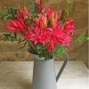 Nerine Flowering Plant In Water Jug Paint By Numbers