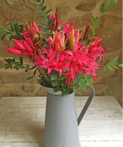 Nerine Flowering Plant In Water Jug Paint By Numbers