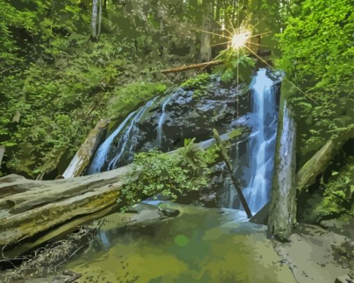 Russian Gulch State Park Nature In USA Paint By Numbers