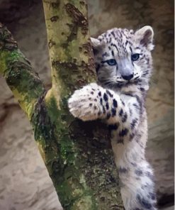 Snow Baby Leopard On Tree Paint By Numbers