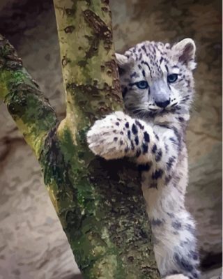 Snow Baby Leopard On Tree Paint By Numbers