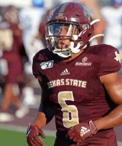 Texas State Bobcats American Footballer Paint By Numbers