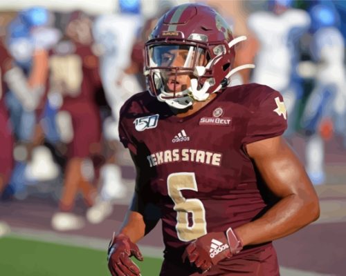 Texas State Bobcats American Footballer Paint By Numbers