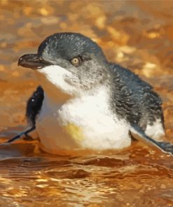 The Australian Fairy Penguin Bird Paint By Numbers