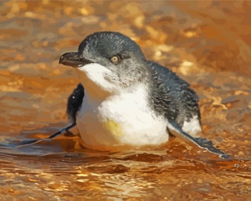 The Australian Fairy Penguin Bird Paint By Numbers