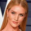 The British Rosie Huntington Whitele Paint By Numbers