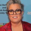 The Comedian Rosie Odonnell Paint By Numbers