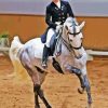 The Dressage Horse Paint By Numbers