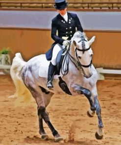 The Dressage Horse Paint By Numbers