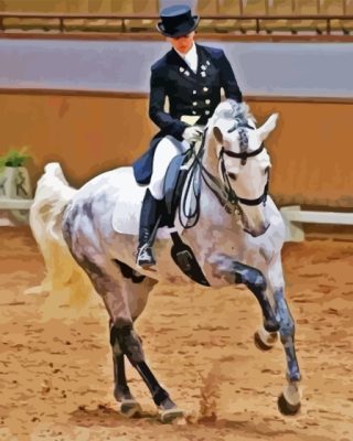 The Dressage Horse Paint By Numbers