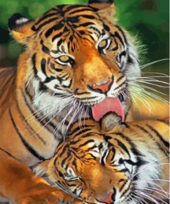 The Tigers In Love Paint By Numbers