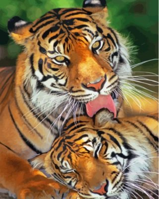 The Tigers In Love Paint By Numbers