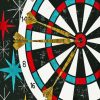 Vintage Dart Board Paint By Numbers