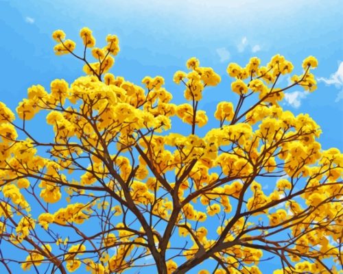 Yellow Blossom Tree Paint By Numbers