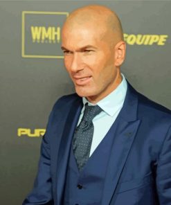 Zinedine Zidane Paint By Numbers