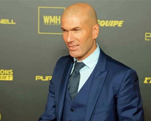 Zinedine Zidane Paint By Numbers