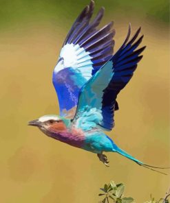 Aesthetic Lilac Breasted Roller Paint By Numbers