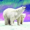 Aurora Northern Lights Polar Bears Paint By Numbers