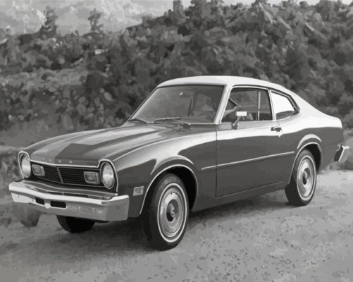 Black And White Classic 70s Car Paint By Numbers