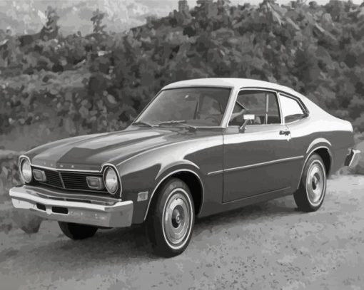 Black And White Classic 70s Car Paint By Numbers