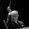 Black And White Joe Hisaishi Paint By Numbers