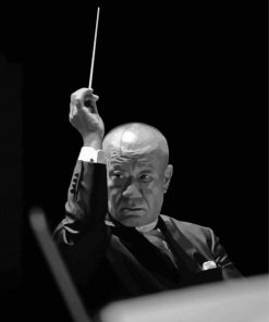 Black And White Joe Hisaishi Paint By Numbers