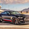 Black Mustang Shelby Gt500 Car Paint By Numbers