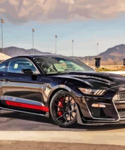 Black Mustang Shelby Gt500 Car Paint By Numbers