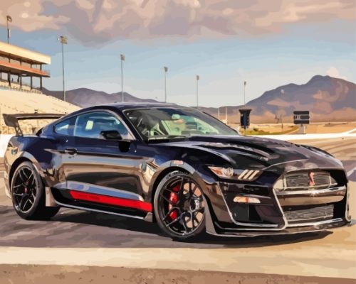 Black Mustang Shelby Gt500 Car Paint By Numbers