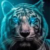 Blue Eyes Tiger Paint By Numbers