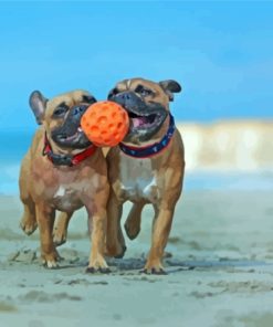 Bulldogs Playing At The Beach Paint By Numbers