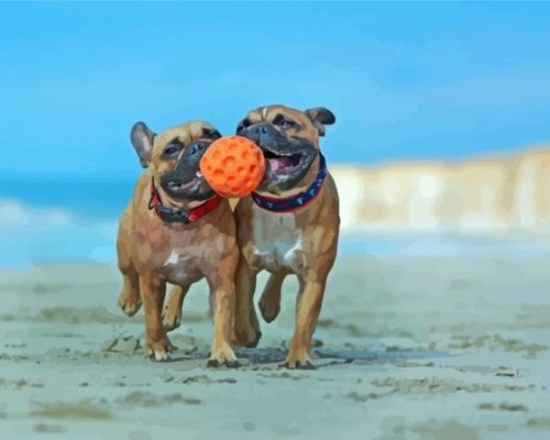 Bulldogs Playing At The Beach Paint By Numbers