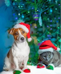 Cat And Jack Russell Christmas Paint By Numbers