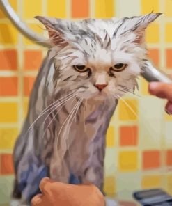 Cat Hate Her Shower Paint By Numbers