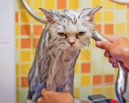 Cat Hate Her Shower Paint By Numbers