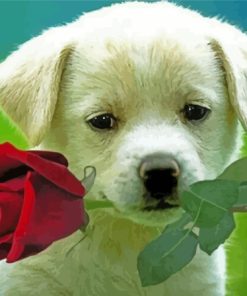 Cool Puppy With Rose Paint By Numbers