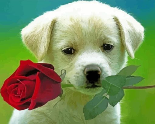 Cool Puppy With Rose Paint By Numbers