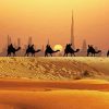 Dubai Desert Camels Silhouette Paint By Numbers