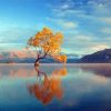 Lake Wanaka Fall Season Paint By Numbers